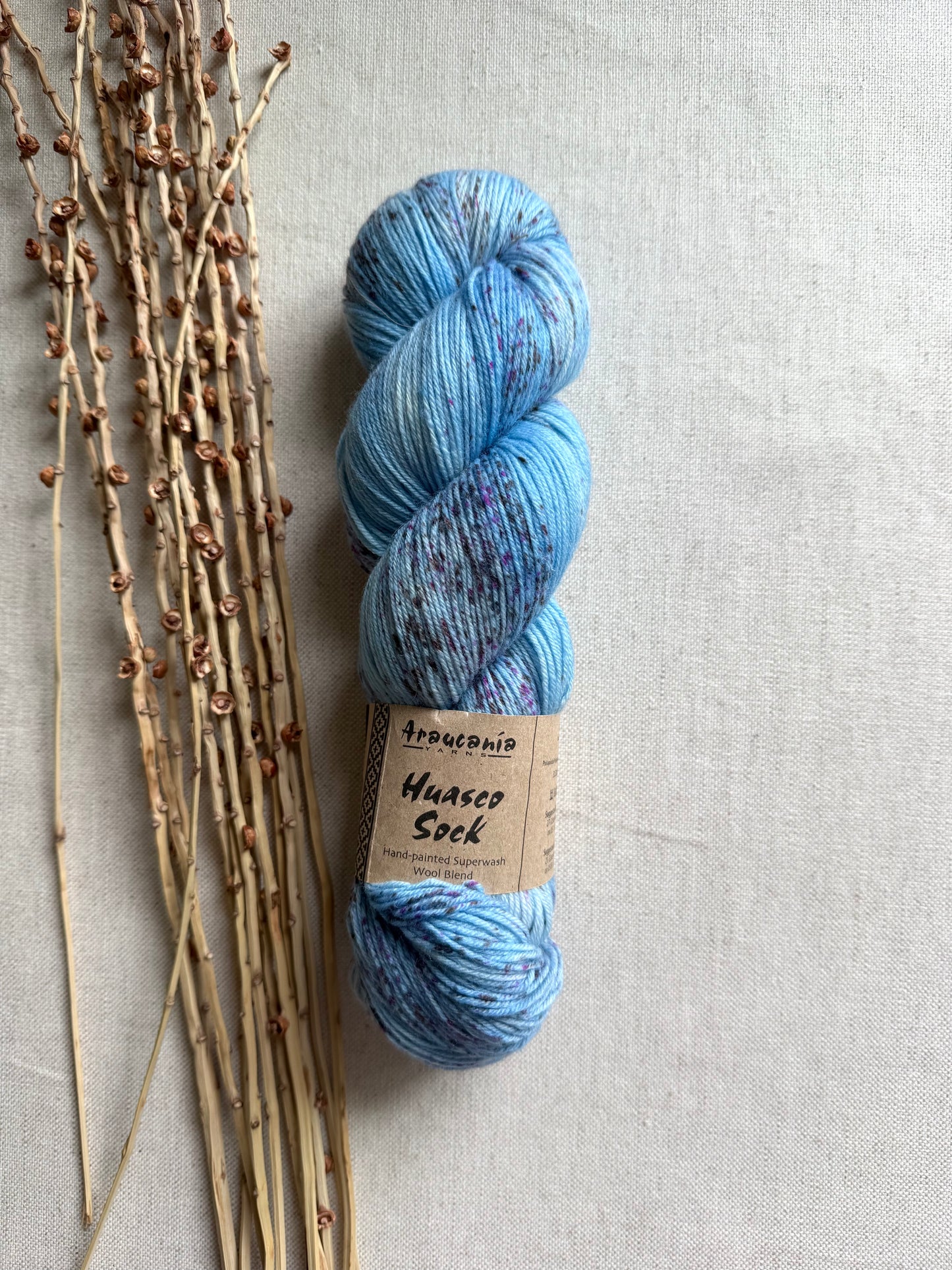 Araucania Huasco Sock