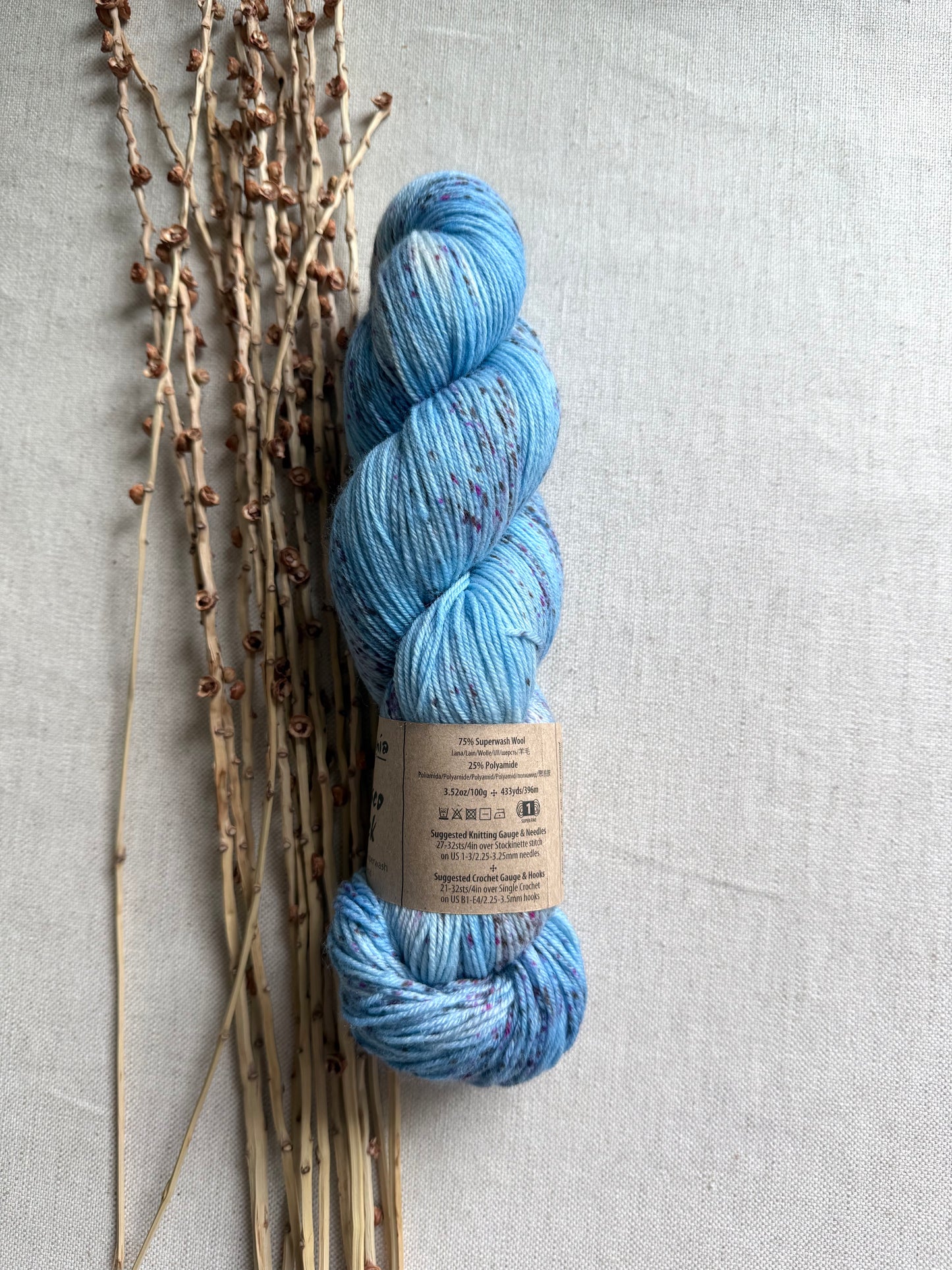 Araucania Huasco Sock