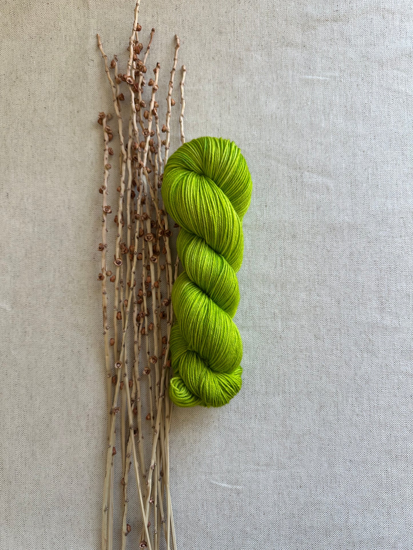 Eeriedescent 100g Skein
