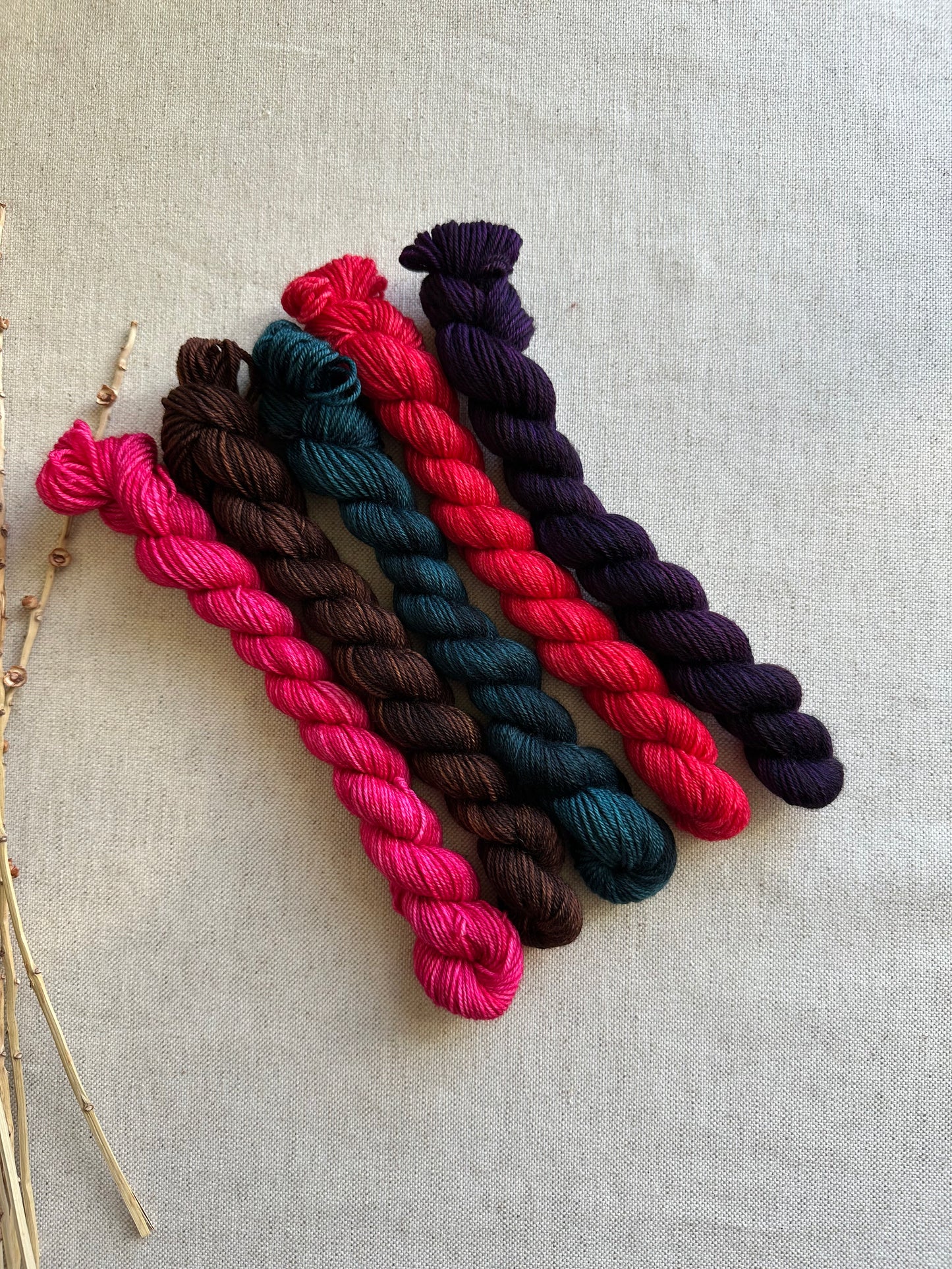 Mushies - SW Merino Nylon Mini Skein Set
