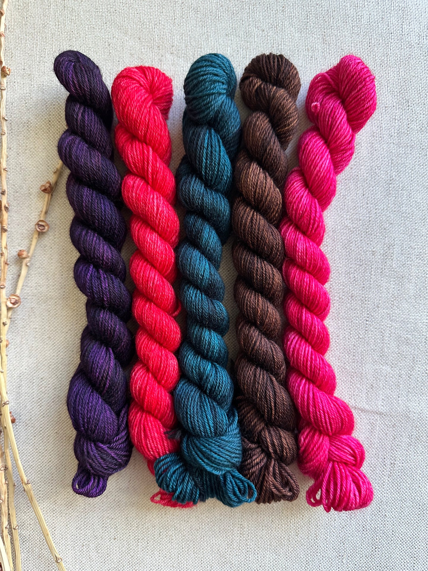 Mushies - SW Merino Nylon Mini Skein Set