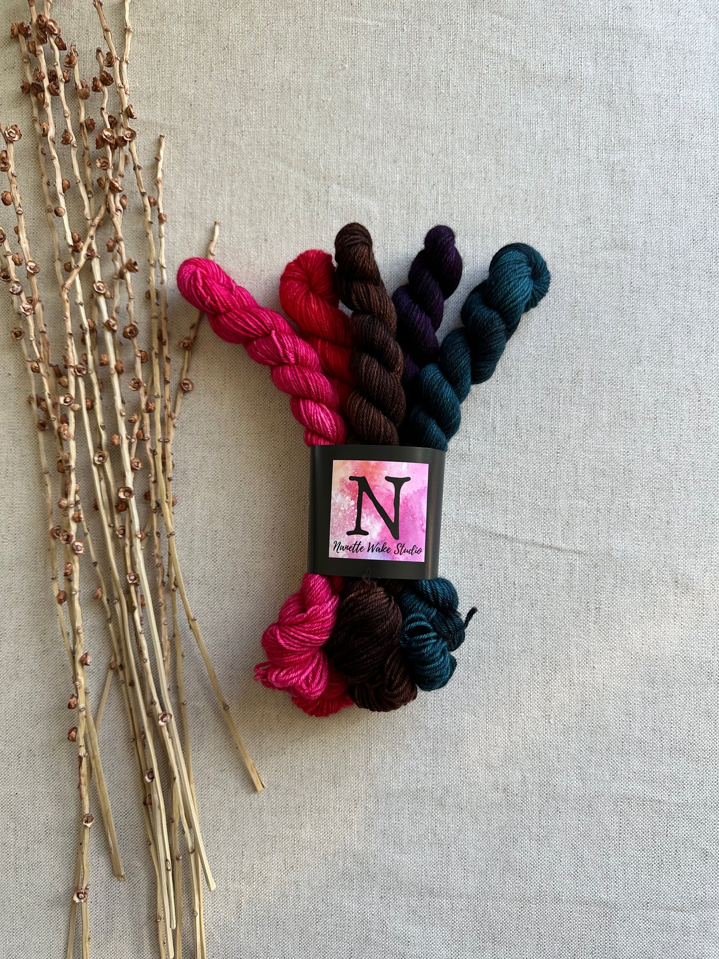 Mushies - SW Merino Nylon Mini Skein Set