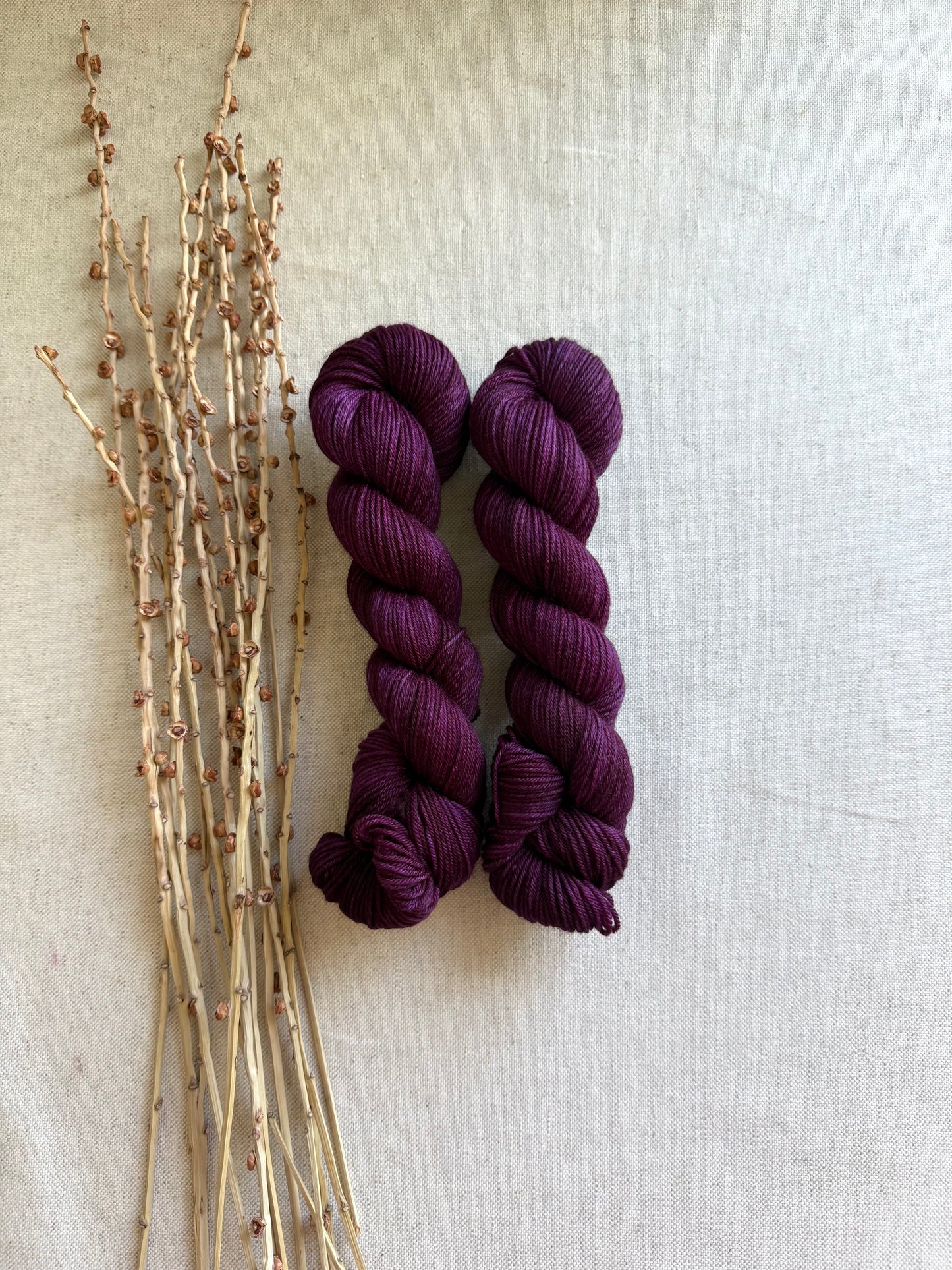 Boysenberry SW Merino Nylon 50g Skein