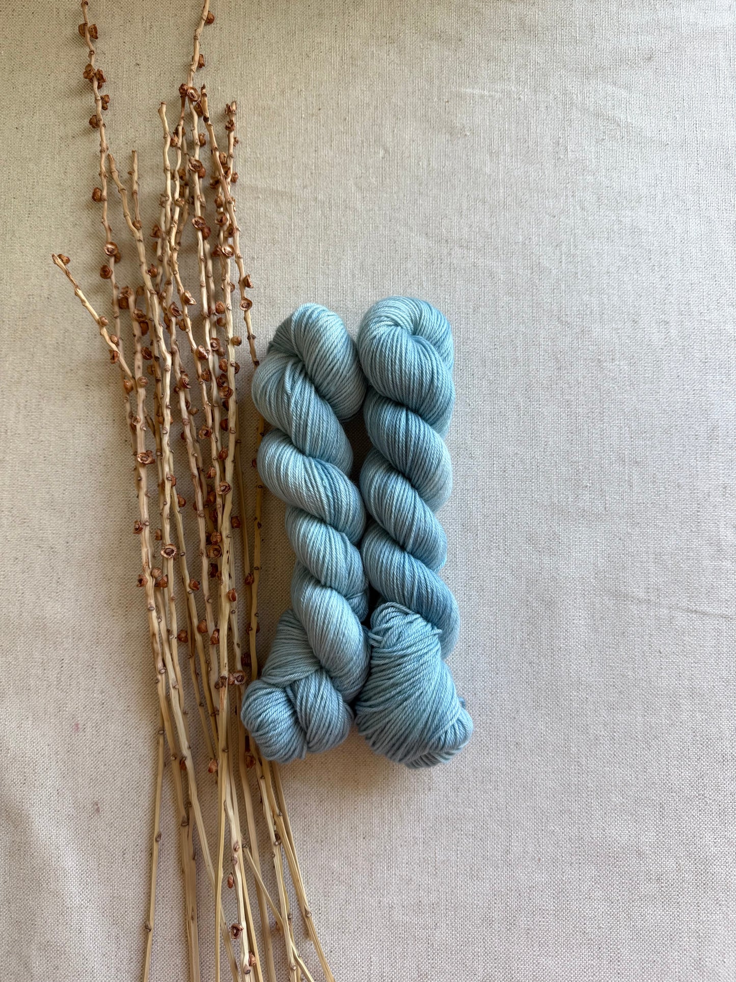 Frozen SW Merino Nylon 50g Skein