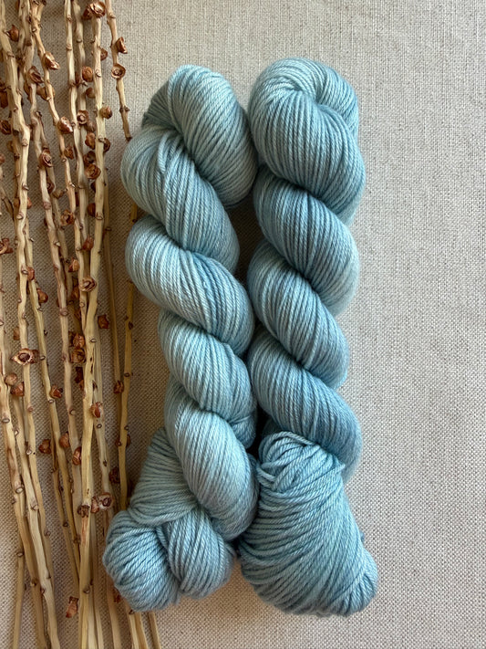 Frozen SW Merino Nylon 50g Skein
