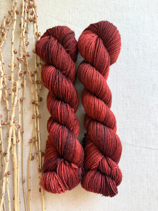 Chili Pepper SW Merino Nylon 50g Skein
