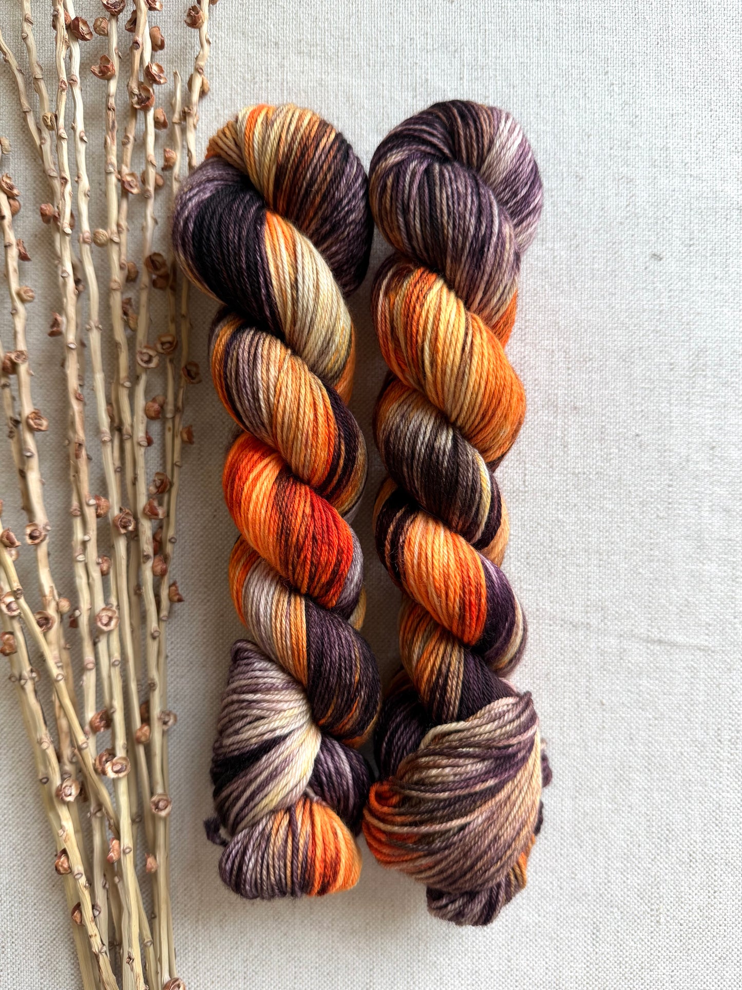 Black Cats Prowling & Pumpkins Glowing SW Merino Nylon 50g