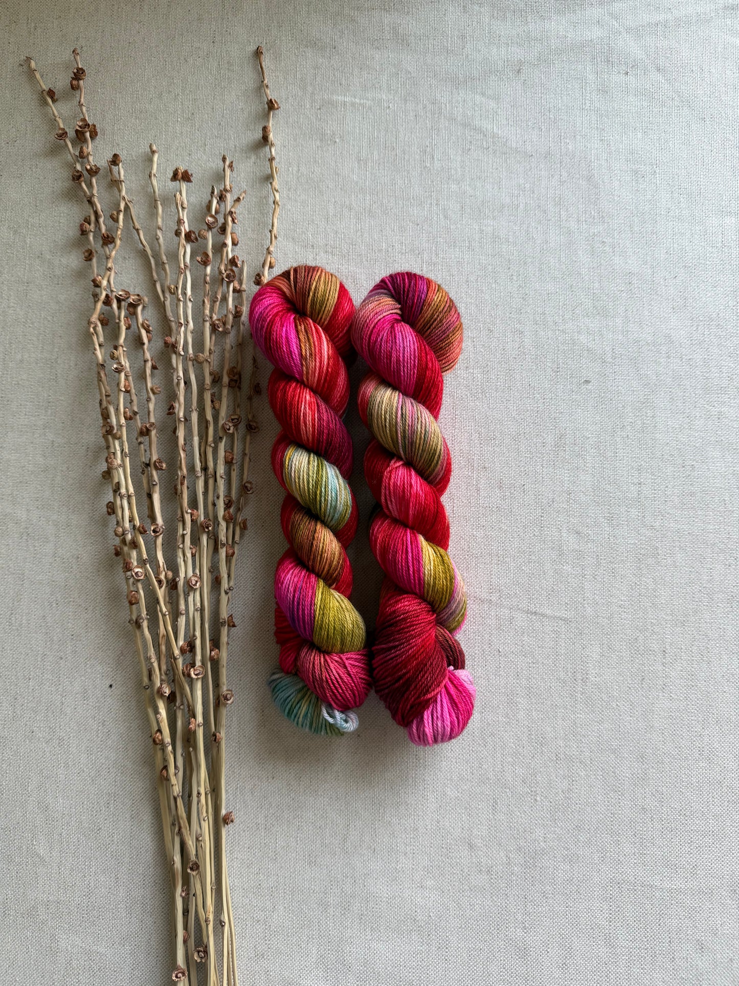 Olympic Sunrise - A Washington State Colorway SW Merino Nylon 50g