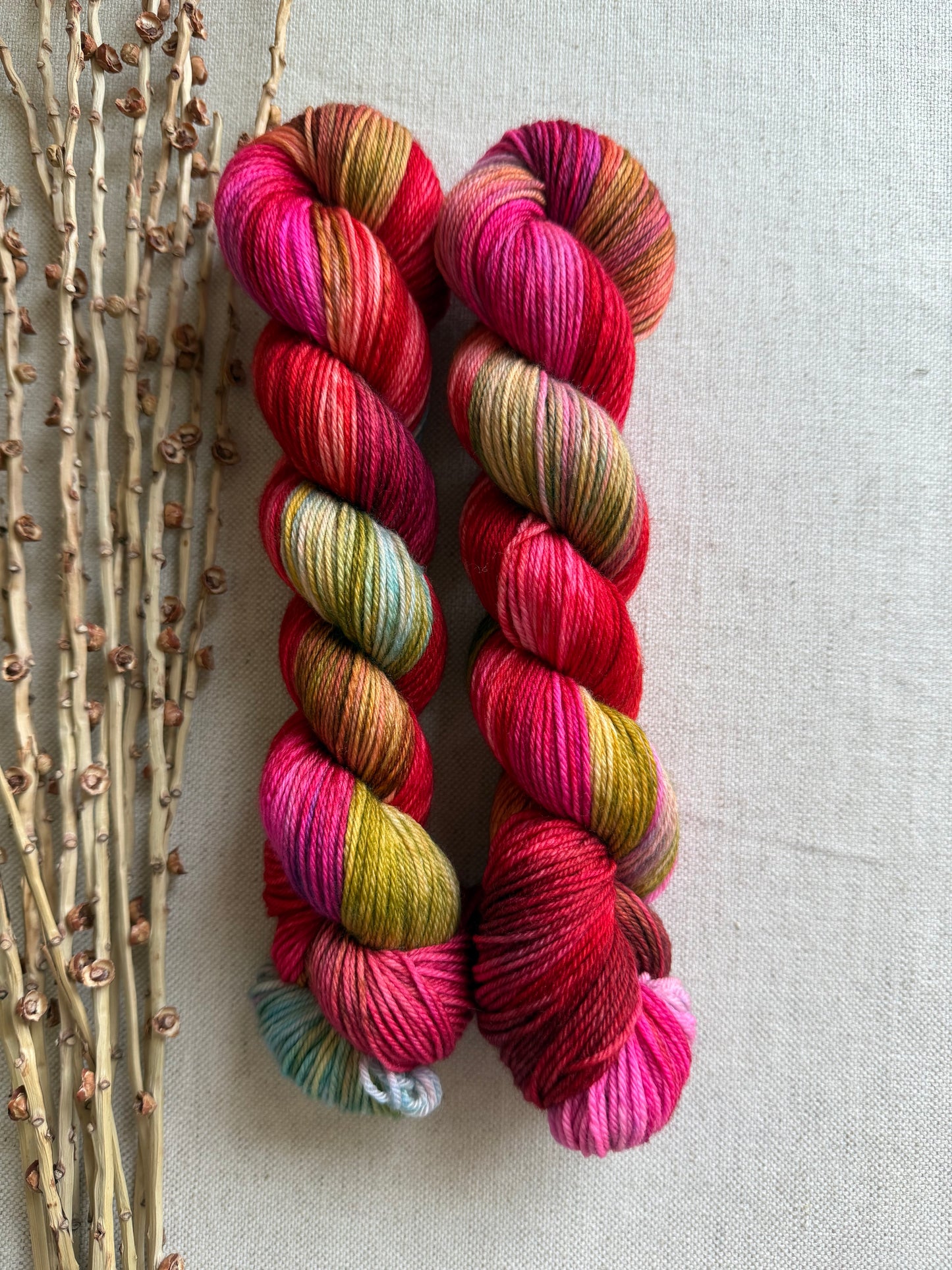 Olympic Sunrise - A Washington State Colorway SW Merino Nylon 50g